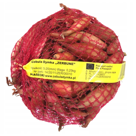 Cebula DYMKA SZALOTKA Zebrune - 0,25kg