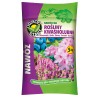Nawóz na Rośliny Kwaśnolubne 5kg Ogród Start