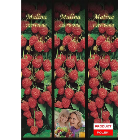Malina Czerwona 1 szt.