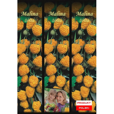Malina Żółta 1 szt.