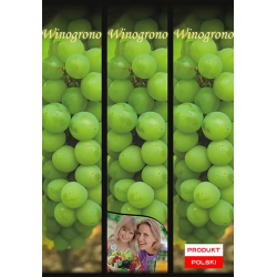 Winogrono Zielone 1 szt.