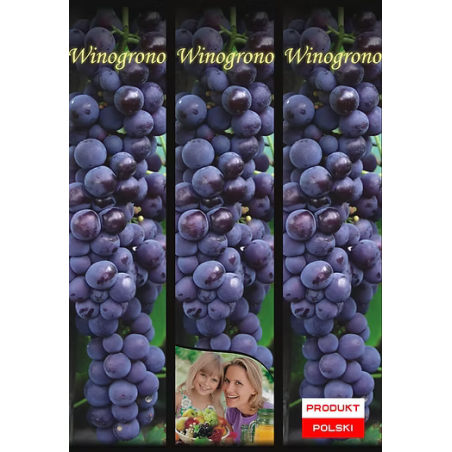 Winogrono Fioletowe 1 szt.