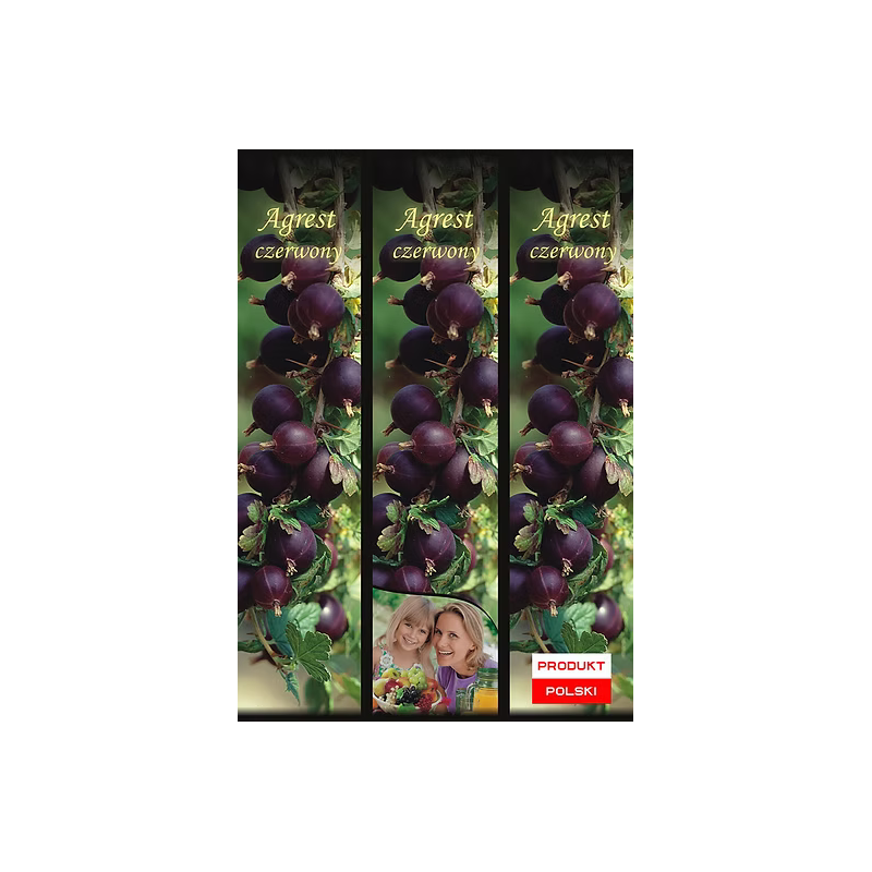 Agrest Czerwony 1 szt.