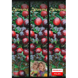 Żurawina 1 szt.