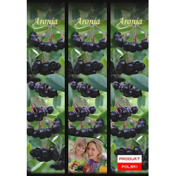 Aronia 1 szt.
