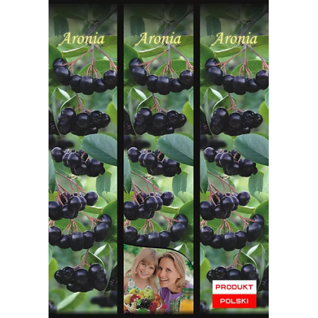 Aronia 1 szt.