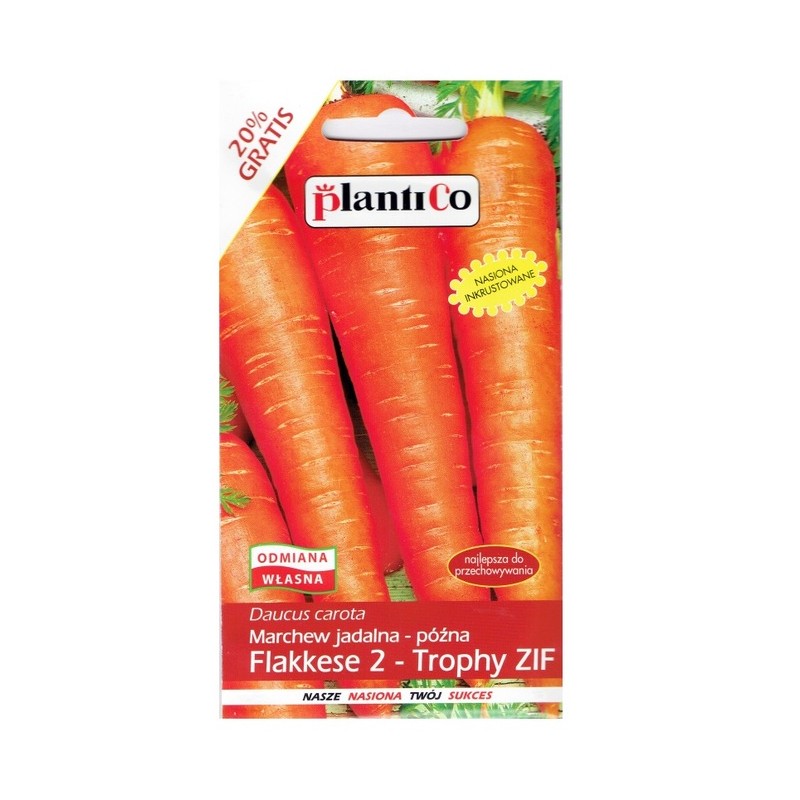 Marchew Jadalna Późna Flakkese 2 - Trophy ZIF 6g Plantico