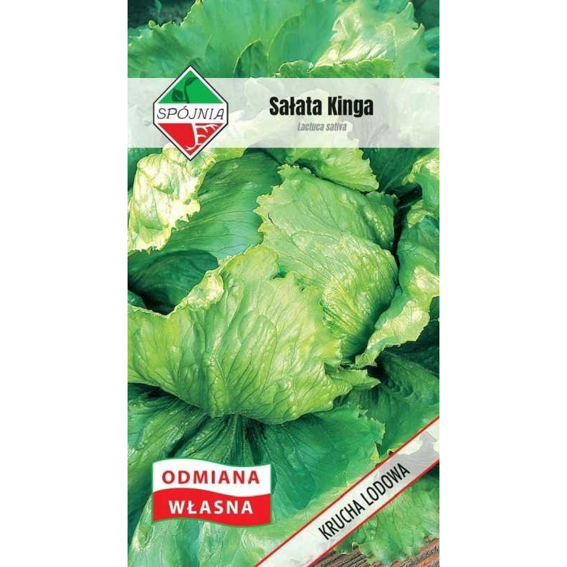 Sałata Krucha typ Lodowy Kinga 1g Spójnia