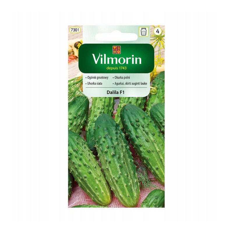Ogórek Gruntowy Dalila F1 3g Vilmorin