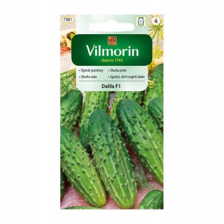 Ogórek Gruntowy Dalila F1 3g Vilmorin