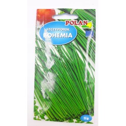 Szczypiorek Ogrodowy Bohemia 2g Polan