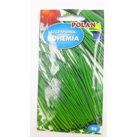 Szczypiorek Ogrodowy Bohemia 2g Polan