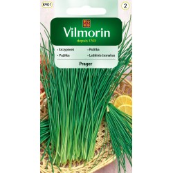 Szczypiorek Prager 2g Vilmorin
