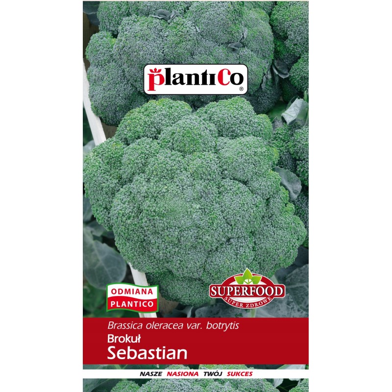 Brokuł Sebastian 2g Plantico