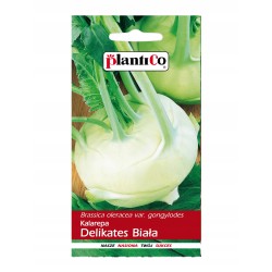 Kalarepa Delikates Biała 2g Plantico