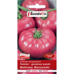 Pomidor Malinowy WARSZAWSKI nasiona 0,5 g PlantiCo