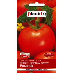 Pomidor gruntowy karłowy Poranek nasiona 1g PlantiCo