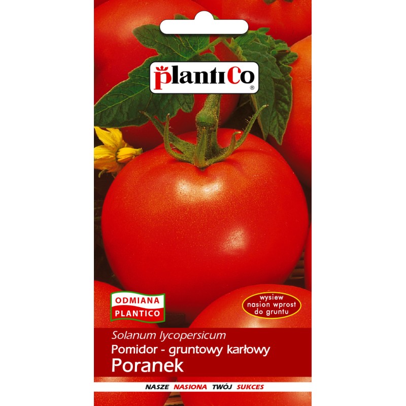 Pomidor gruntowy karłowy Poranek nasiona 1g PlantiCo