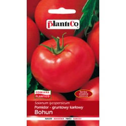 Pomidor gruntowy karłowy Bohun nasiona 1 g PlantiCo