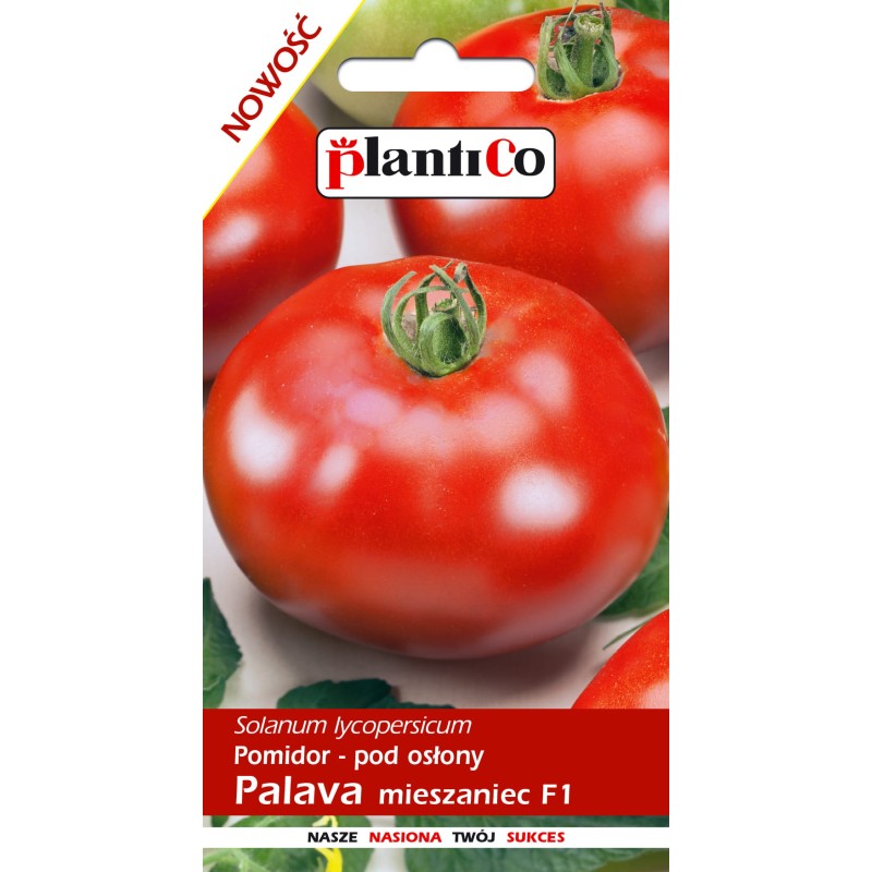 Pomidor pod osłony Palava F1 nasiona 0,1 g PlantiCo