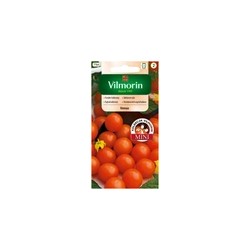 Pomidor balkonowy Venus nasiona 0,3 g