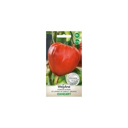 Pomidor Oxheart (Bawole Serce) do tunelu i w gruncie nasiona 0,5g WegAna