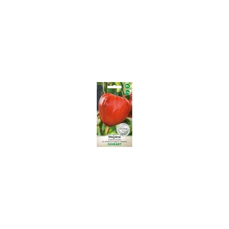 Pomidor Oxheart (Bawole Serce) do tunelu i w gruncie nasiona 0,5g WegAna