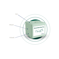 Lizawka Solna Mineral Block Basic Plus - kostka 10 kg
