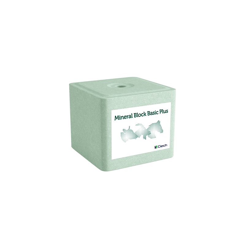 Lizawka Solna Mineral Block Basic Plus - kostka 10 kg