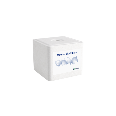 Lizawka Solna Mineral Block Basic - kostka 10 kg