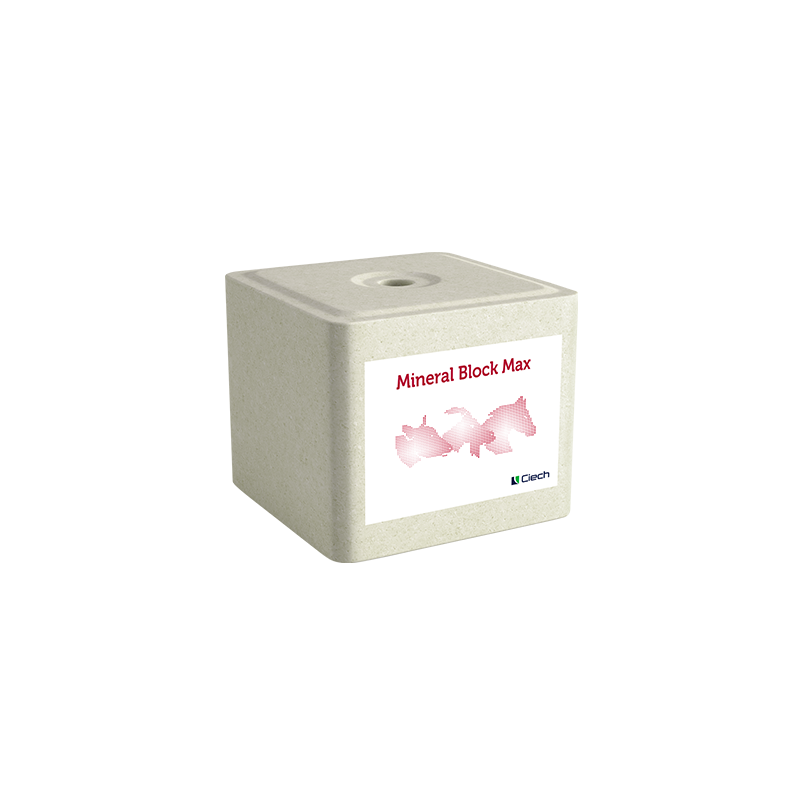 Lizawka Solna Mineral Block Max - kostka 10 kg