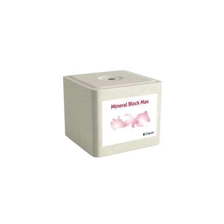 Lizawka Solna Mineral Block Max - kostka 10 kg