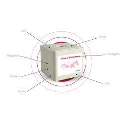 Lizawka Solna Mineral Block Max - Paleta 10 kg x 96 szt