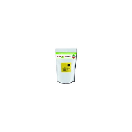 Cebula Wolska POL 500 g Plantico