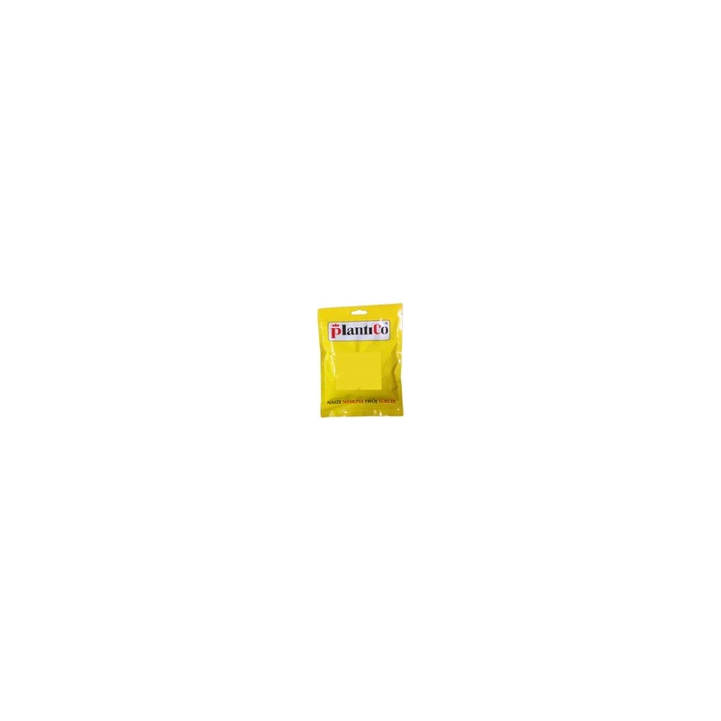 Marchew Amsterdam - Amsterdamska NOE wczesna nasiona 100 g