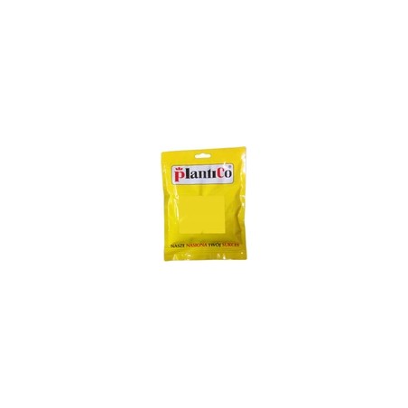 Marchew Amsterdam - Amsterdamska NOE wczesna nasiona 100 g