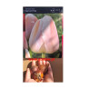 Tulipan Apricot Pride - cebulka rozmiar 11/12